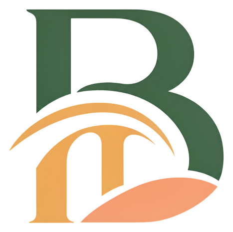 BoomerBridge logo