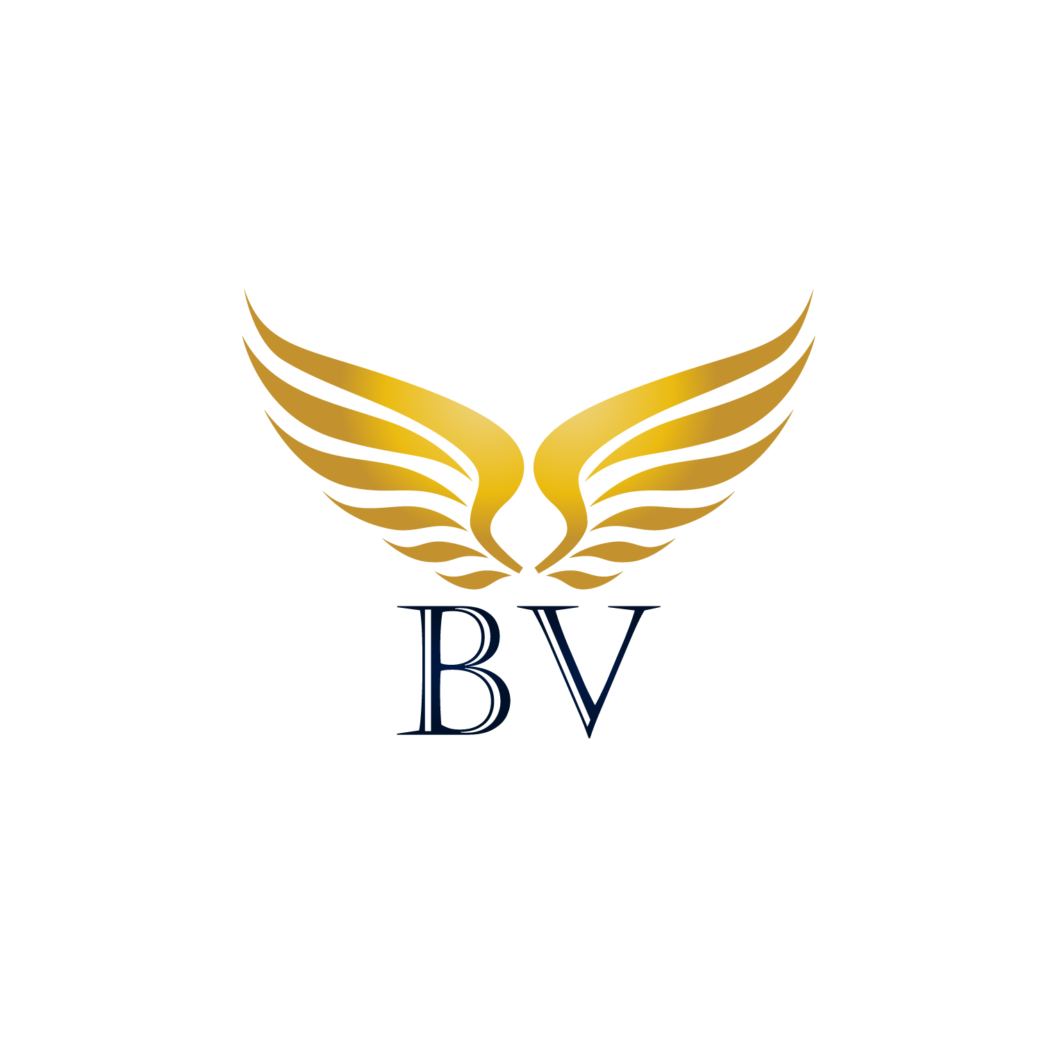 Brook Valley Revenue Partners logo