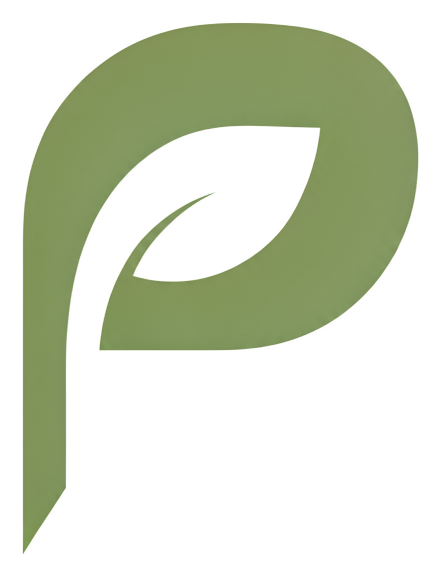 Promptify logo